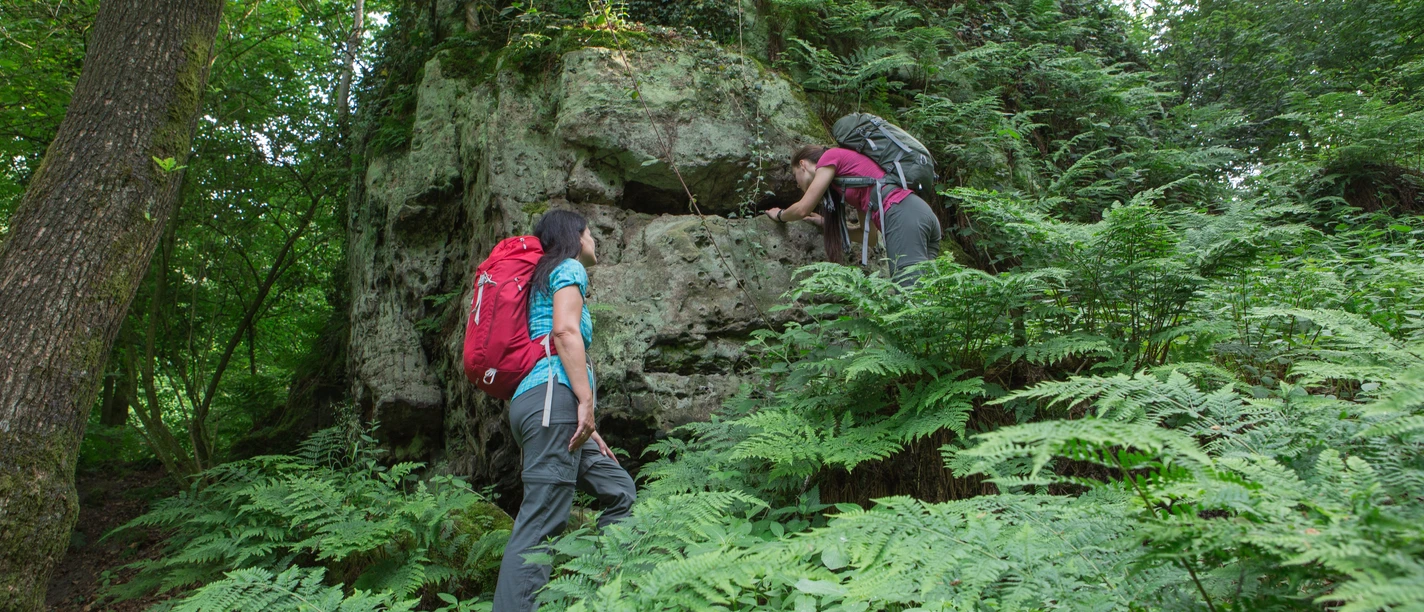 Wandern auf dem Ahornweg To vandrere bestiger en tilgroet klippe i den grønne skov omgivet af bregner.