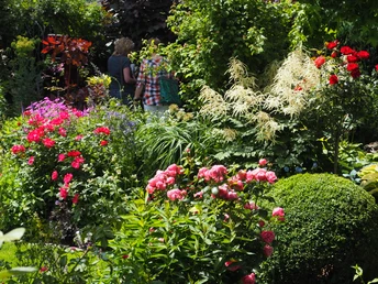 Blütenpracht in Schneiders Garten
