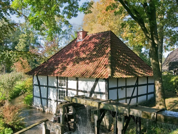 Vakwerkwatermolen naast bomen, met een roodbruin pannendak en kabbelend beekje.