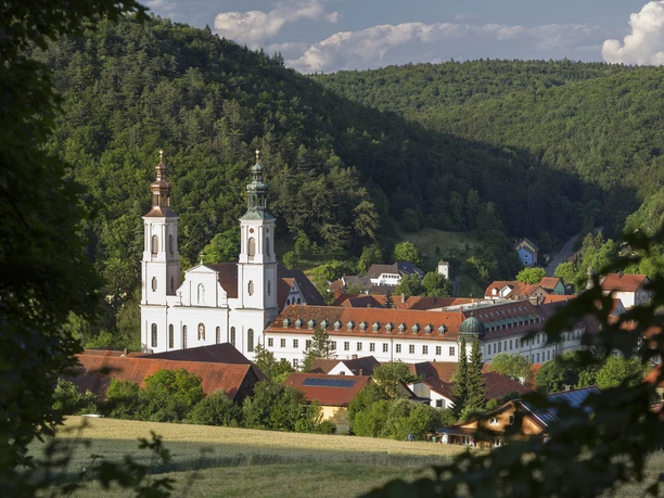 Kloster Pielenhofen Kloster Pielenhofen vor bewaldeter Hügellandschaft, rotgedeckte Dächer im Vordergrund.