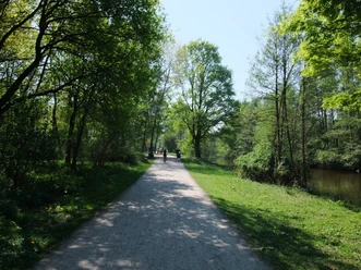 Haseuferweg Ein sonniger Tag im Wald mit einem breiten, ebenen Weg, gesäumt von hohen grünen Bäumen.