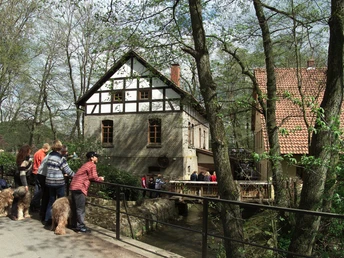 Radeln auf der Niedersäschischen Mühlentour Historische Wassermühle mit Fachwerk, umgeben von Besuchern und Natur im Frühlingslicht.