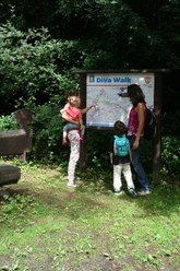Wandern auf dem DiVa-Walk Three people are studying a map on a forest hiking trail.