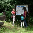 Wandern auf dem DiVa-Walk Drei Personen studieren eine Landkarte an einem Waldwanderweg.Three people are studying a map on a forest hiking trail.Tre personer studerer et kort på en vandresti i skoven.Drie mensen bestuderen een kaart op een wandelpad in het bos.