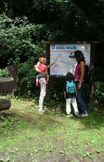 Wandern auf dem DiVa-Walk Drei Personen studieren eine Landkarte an einem Waldwanderweg.Three people are studying a map on a forest hiking trail.Tre personer studerer et kort på en vandresti i skoven.Drie mensen bestuderen een kaart op een wandelpad in het bos.