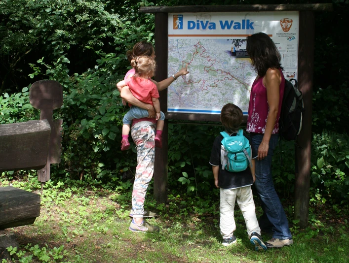 Wandern auf dem DiVa-Walk Drei Personen studieren eine Landkarte an einem Waldwanderweg.Three people are studying a map on a forest hiking trail.Tre personer studerer et kort på en vandresti i skoven.Drie mensen bestuderen een kaart op een wandelpad in het bos.