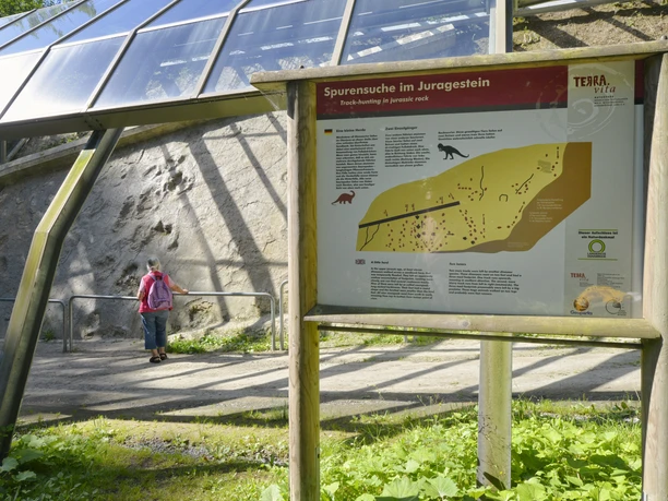 Bord met informatie over het zoeken naar sporenfossielen in Juragesteente, persoon op de achtergrond.