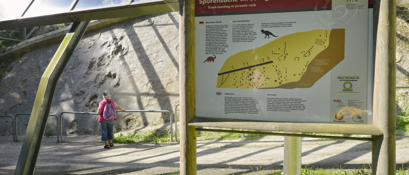 Wandern auf dem DiVa-Walk Tafel mit Informationen zur Spurenfossilien-Suche im Juragestein, Person im Hintergrund.