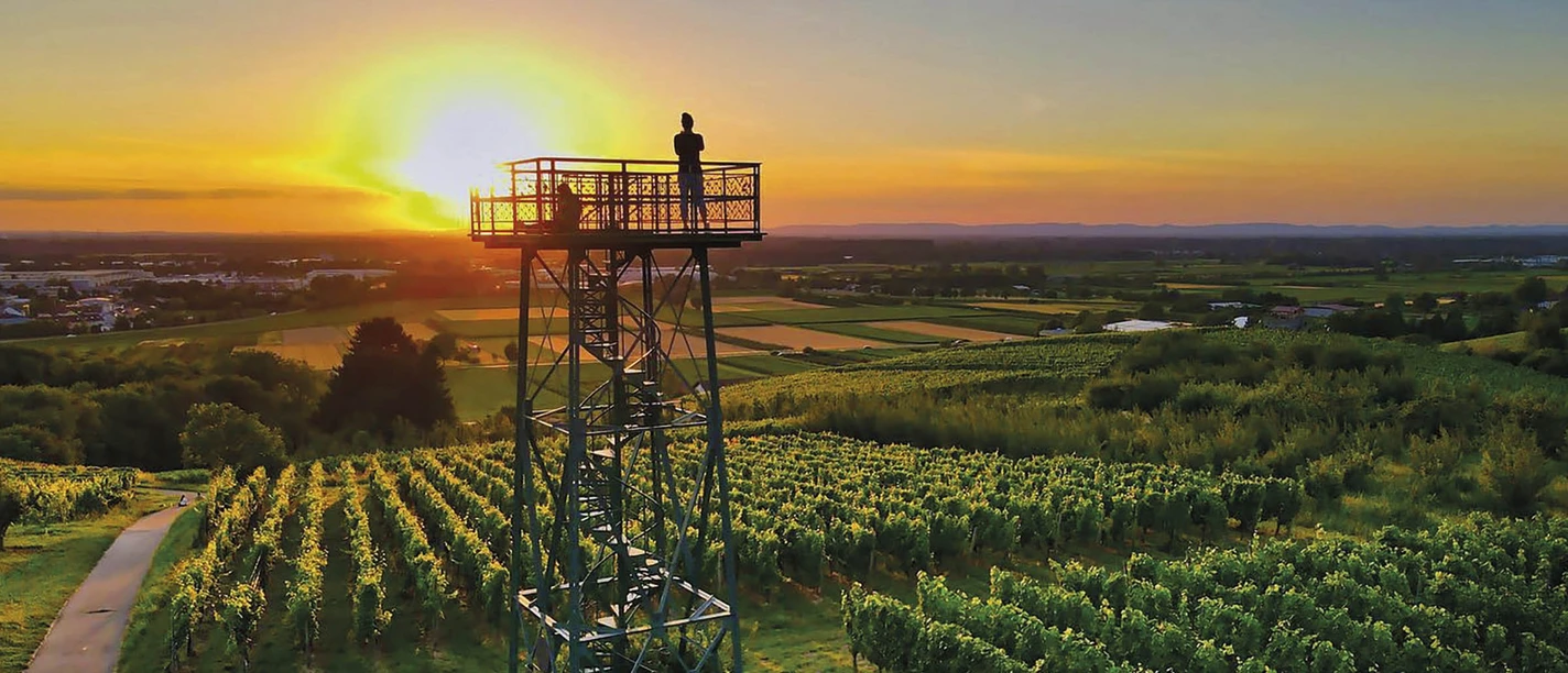 Carl-Netter_Turm_AWG_01_c_Florian_Hahn_2500x1024px