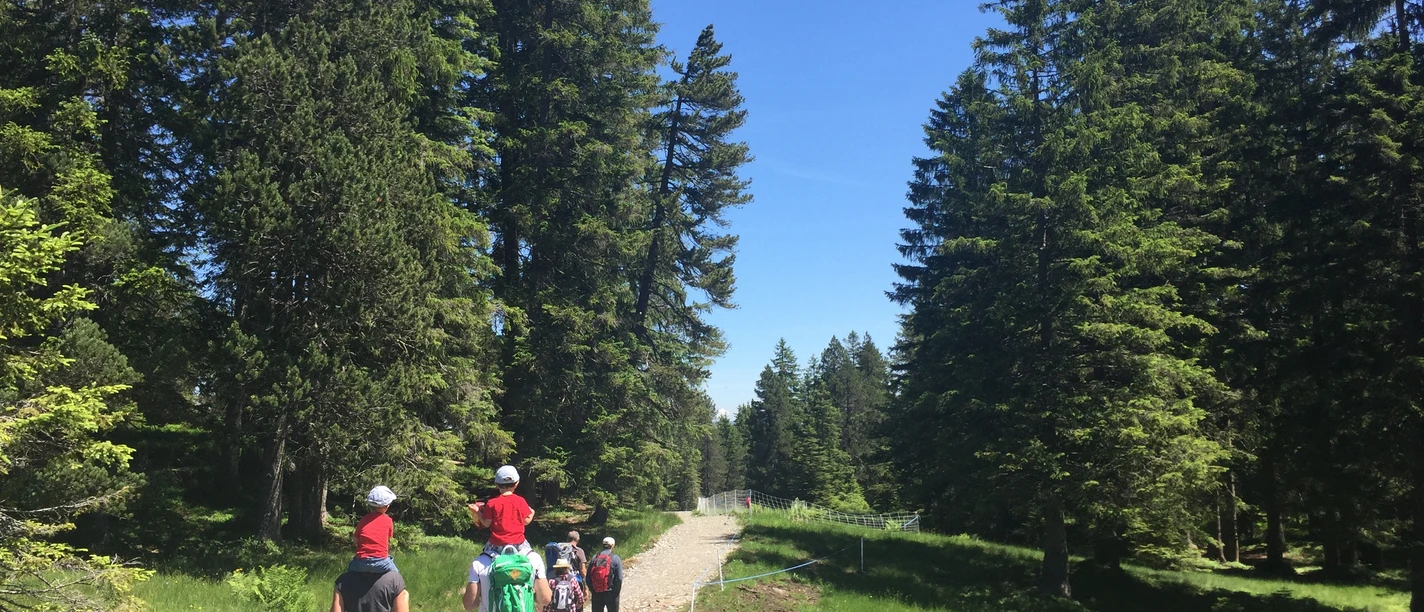 Auf dem alten Schwyzerweg