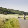 Radeln auf dem OC 1 - Rund um Ostercappeln - Wiegbold, Windthorst und Waldesruh Zwei Radfahrer auf einem ländlichen Weg mit Wiesen und dichten Wäldern im Hintergrund.