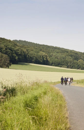 Radeln auf dem OC 1 - Rund um Ostercappeln - Wiegbold, Windthorst und Waldesruh Zwei Radfahrer auf einem ländlichen Weg mit Wiesen und dichten Wäldern im Hintergrund.