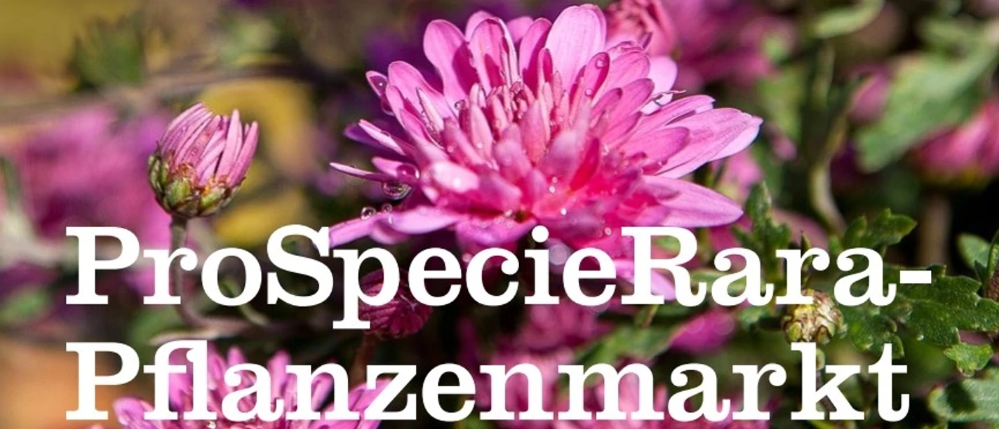 Pro Specie Rara Pflanzenmarkt