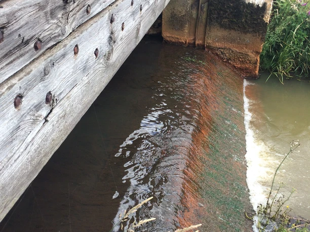 Holzbrücke über einen kleinen Bach mit fließendem Wasser, von Gras und Moos umgeben.