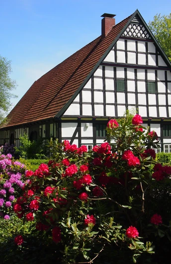 Radeln auf der NST -Tour Fachwerkhaus mit rotem Dach, umgeben von blühenden roten und violetten Rhododendren.