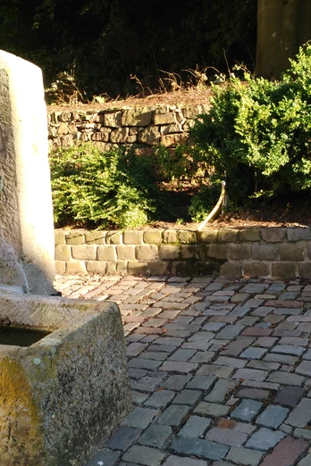 Fahrradtour "Rund um Belm" Brunnen mit steinerner Umrandung auf gepflastertem Platz, umgeben von Grünpflanzen.Fountain with stone border on a paved square, surrounded by green plants.Springvand med stenomkransning på en brolagt plads, omgivet af grønne planter.Fontein met stenen rand op een betegeld plein, omringd door groene planten.