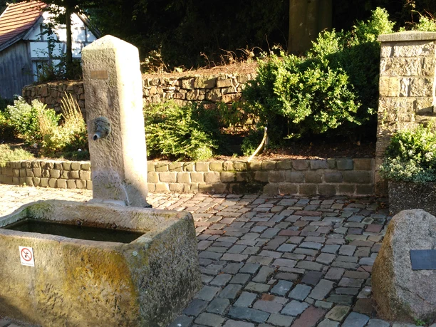 Fahrradtour "Rund um Belm" Brunnen mit steinerner Umrandung auf gepflastertem Platz, umgeben von Grünpflanzen.