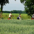 Radeln auf der Rundtour "BO 3 - Rund um Herringhausen - Stirpe - Oelingen" Vier Personen fahren auf Fahrrädern entlang eines grünen Feldes und unter blauem Himmel.