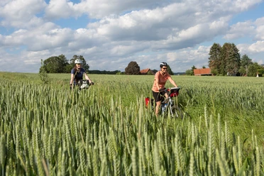 Radeln auf dem Rundweg M2 Melle-Buer Twee fietsers rijden door een groen tarweveld onder een bewolkte hemel.
