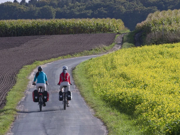 Radeln auf dem M 3 - Rundweg Riemsloh / Bruchmühlen Zwei Radfahrer auf einer schmalen Landstraße zwischen Feldern und Wald.