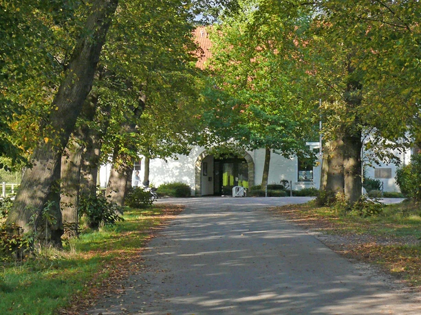 Radeln auf dem M 3 - Rundweg Riemsloh / Bruchmühlen Allee mit Laubbäumen, die zu einem weißen Gebäude mit rotem Dach im Hintergrund führt.