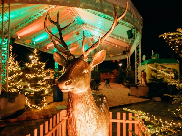 Braunlager Wintermarkt
