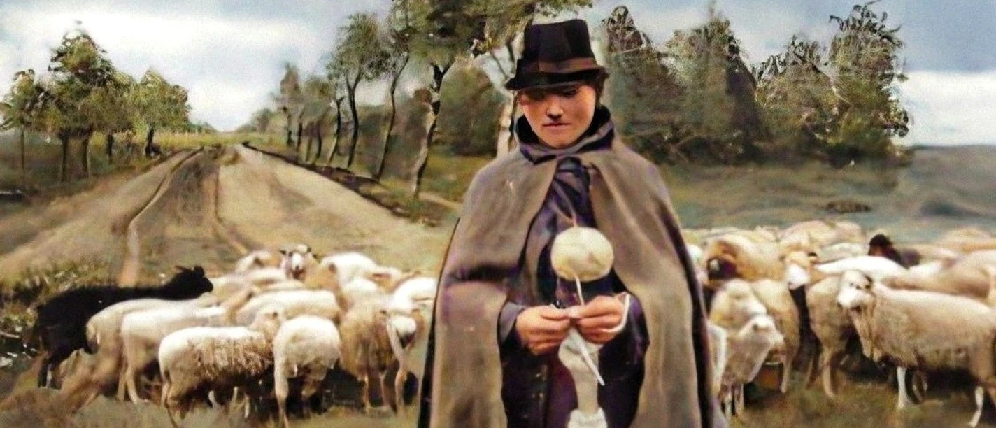 Der Schäfer vom Hümmling (koloriert, bearbeitet_quer) .jpg