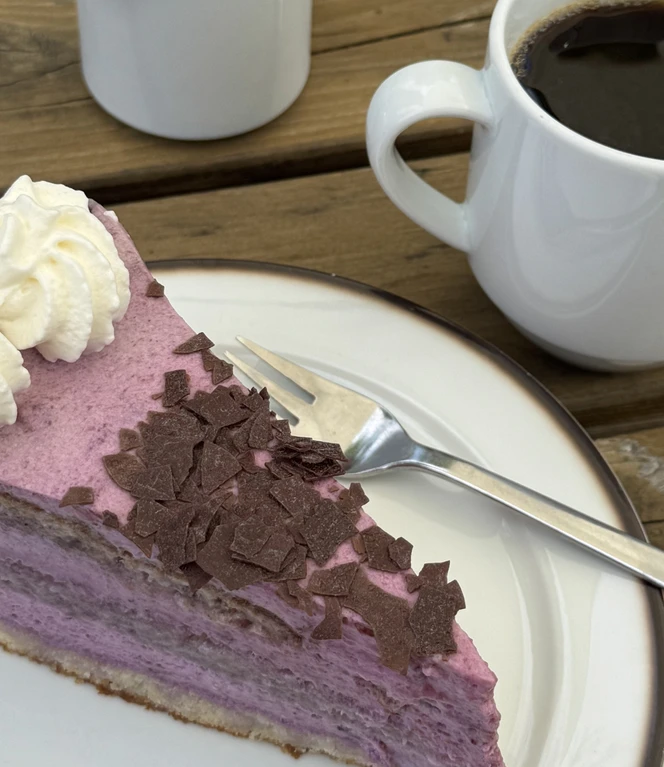 Die Heidelbeer-Joghurt-Torte ist fantastisch_quer.jpeg