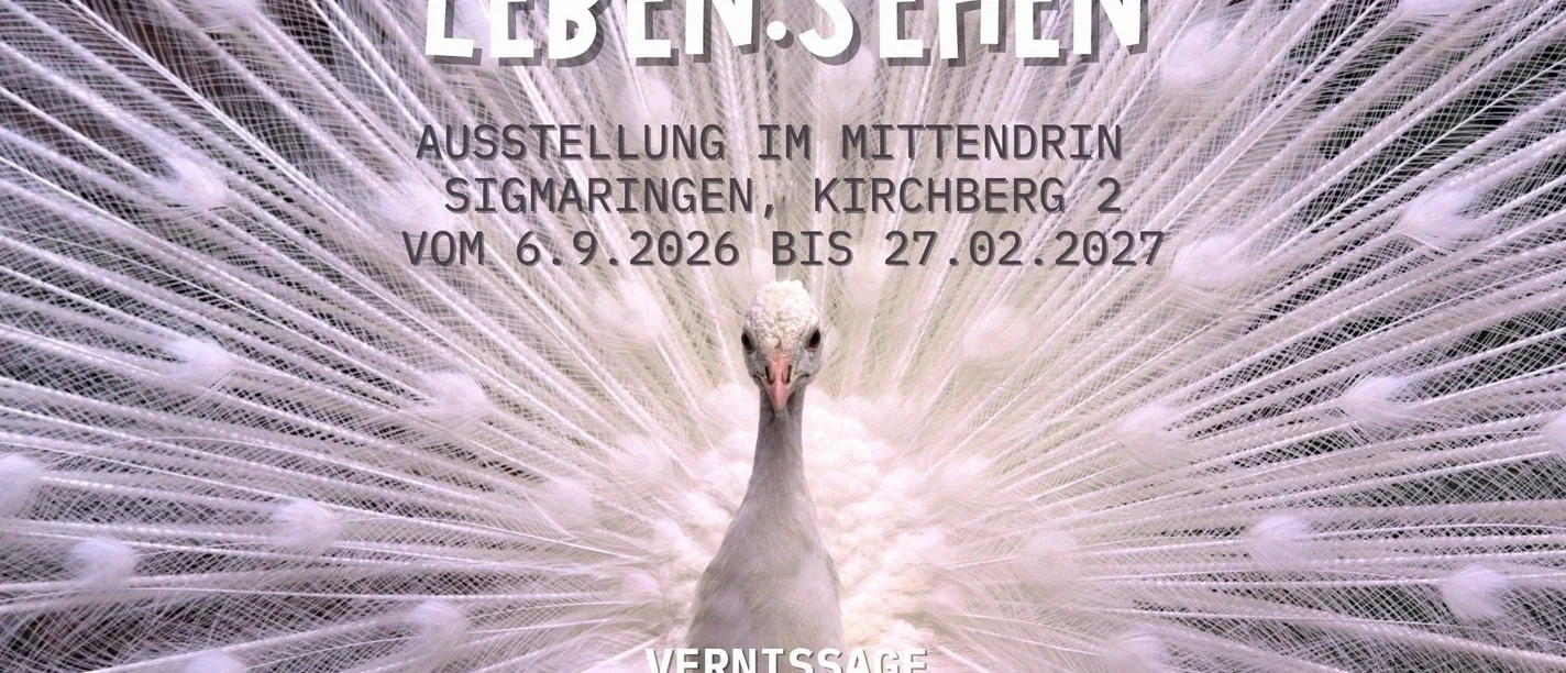 09_06_ Ausstellung_mittendrin_LEBEN.SEHEN