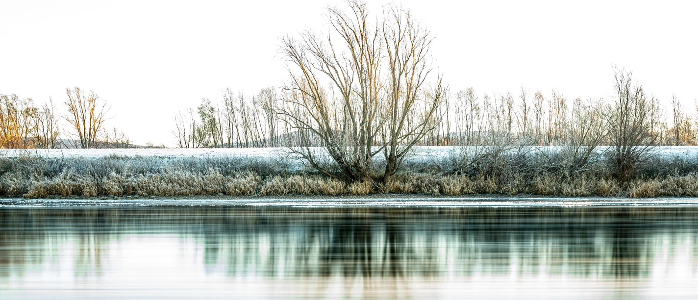 Weser #1153 2022-12