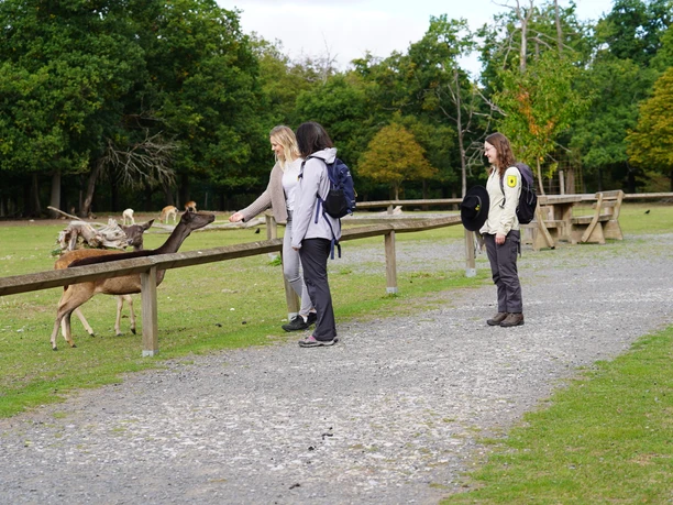 WildtierPark Edersee