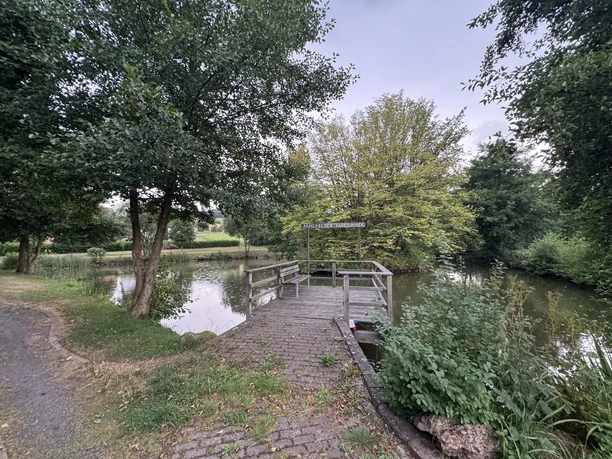 Sonnenplattform am Teich in Armsfeld