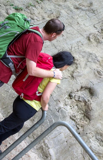Saurierspuren in Bad Essen De Wittekindsweg brengt wandelaars onder meer naar de dinosaurussporen in Bad Essen-BarkhausenPersonen betrachten Spuren prähistorischer Dinosaurier in einer Felswand.People look at traces of prehistoric dinosaurs in a rock face.Folk kigger på spor af forhistoriske dinosaurer i en klippevæg.