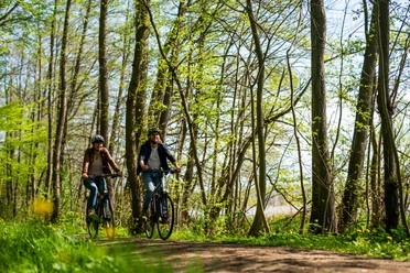 Zwei Radfahrer am Westufer des Ratzeburger Sees.