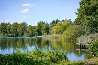 Ein Steg am Salemer See.