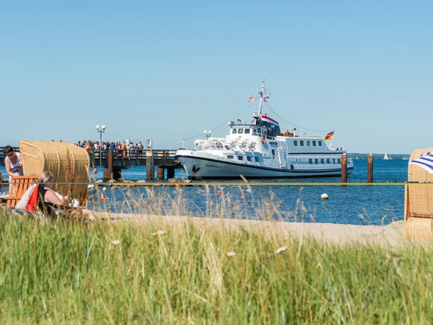 taff_noltemedia02725