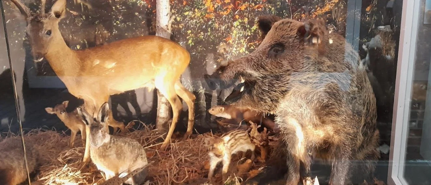 Naturerlebnishaus.JPG