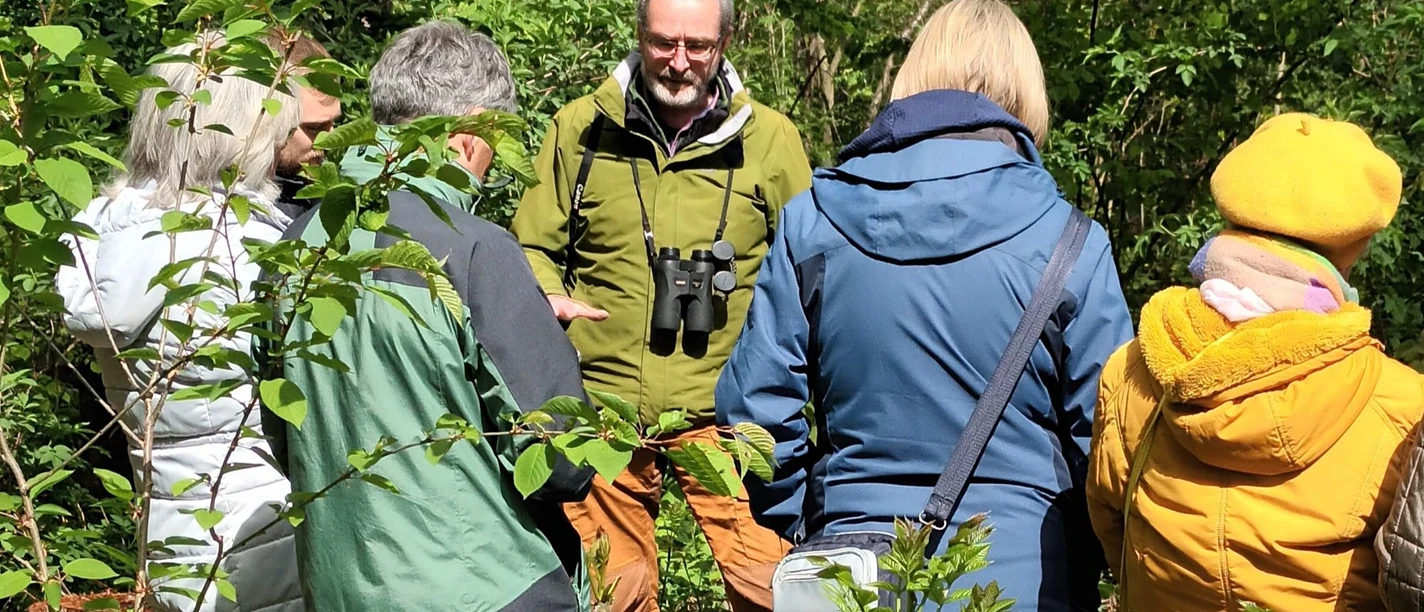 Gruppe bei einer NABU-Naturführung im Grünen, Leiter mit Fernglas erklärt die Umgebung.