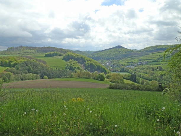 Beringhausen, NSG Brandiger Berg
