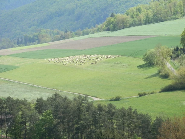 Beringhausen, NSG Brandiger Berg