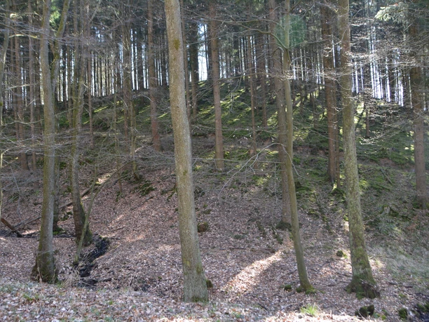 Bredelar, Naturschutzgebiet Forst Bredelar