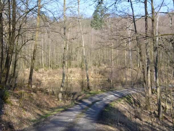 Bredelar, Naturschutzgebiet Forst Bredelar