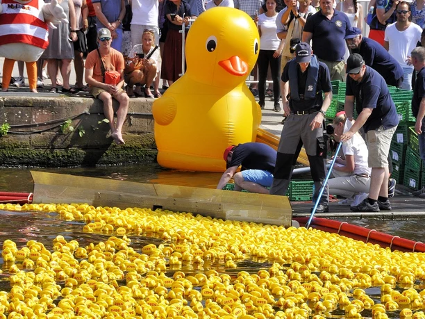Many yellow rubber ducks in the water, along with a large inflatable duck and a crowd of people on the shore.