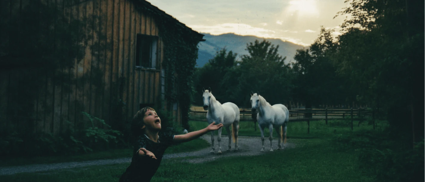 A child is playing outside; two white horses are standing in the background.
