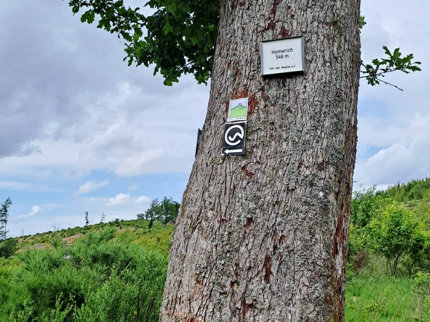 Markierung