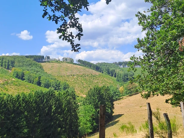 Ausblick