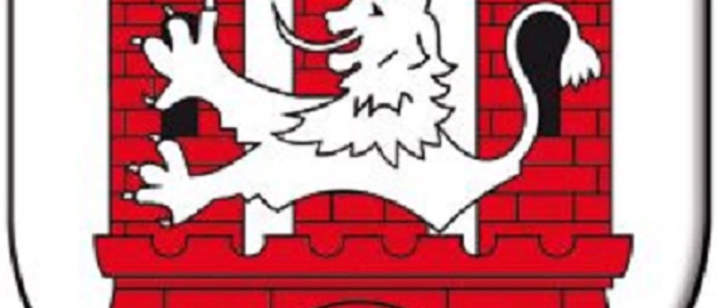 Logo MTV.jpg