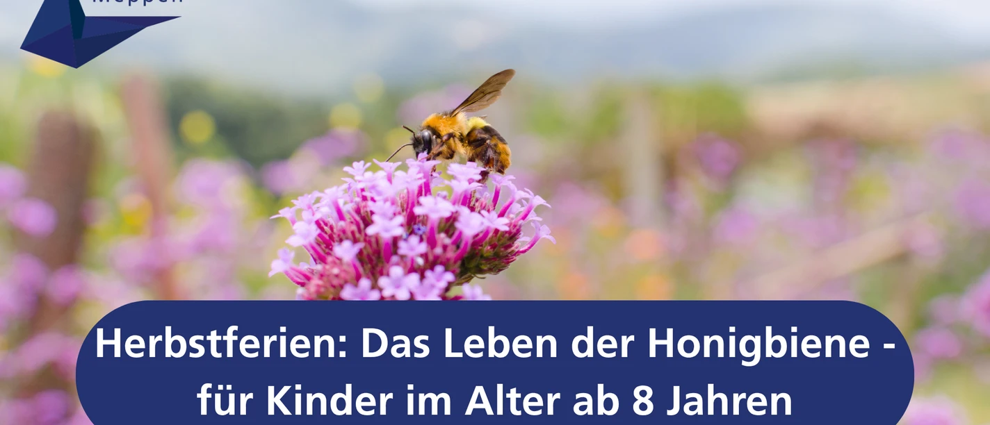 Herbstferien_ Das Leben der Honigbiene - für Kinder im Alter ab 8 Jahren.png