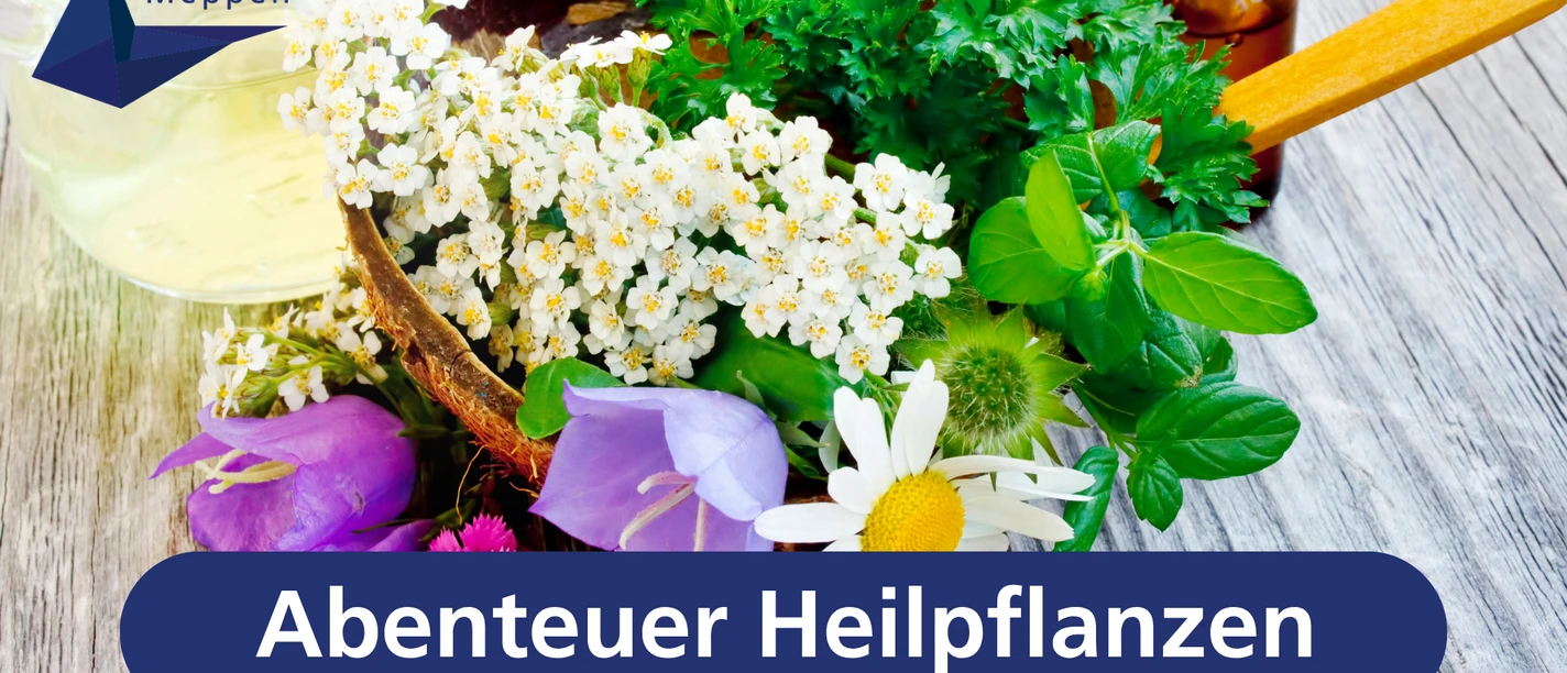Abenteuer Heilpflanzen.png