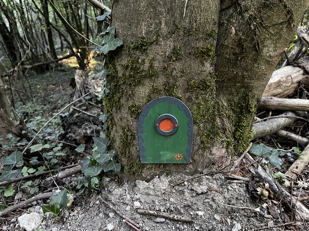 Eine grüne Wichteltür mit rotem Guckloch ist an einem Baum befestigt.